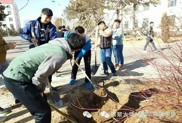 植樹節(jié)特別活動——校園綠化從我做起