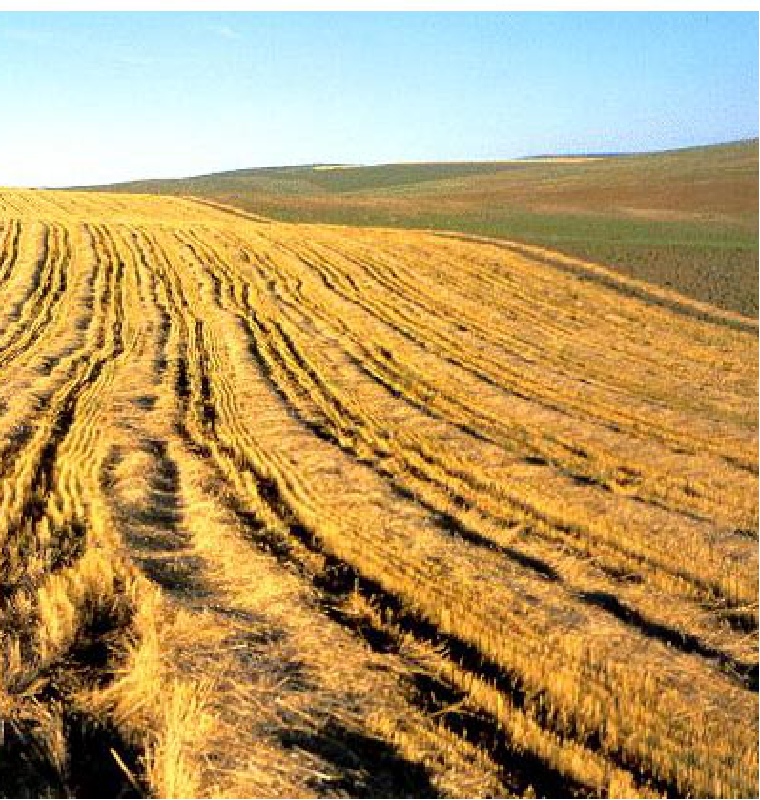 巴基斯坦經濟概況