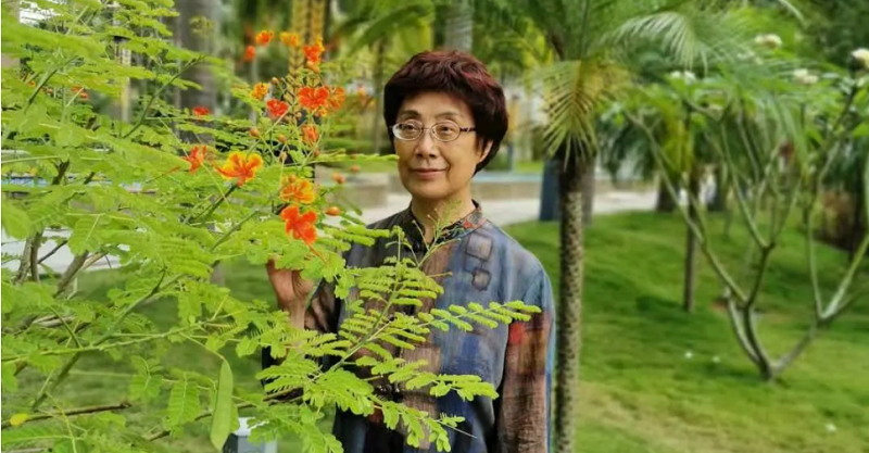 ”鴻德“學術(shù)沙龍第五講預告