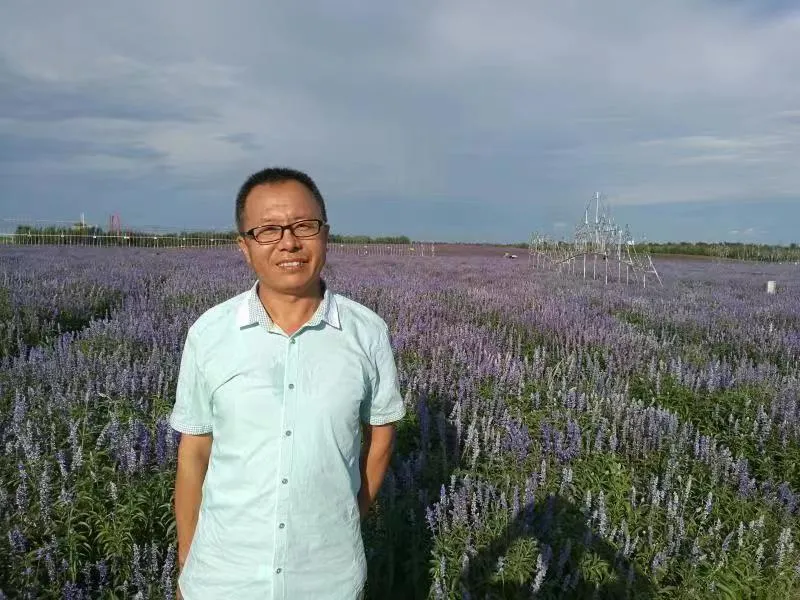 “鴻德”學術沙龍第十六講預告