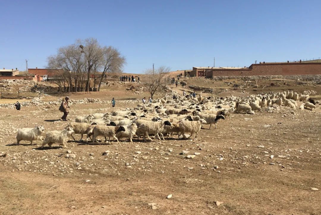 微信圖片_20220407152409.jpg 微信圖片_20220407152409.jpg