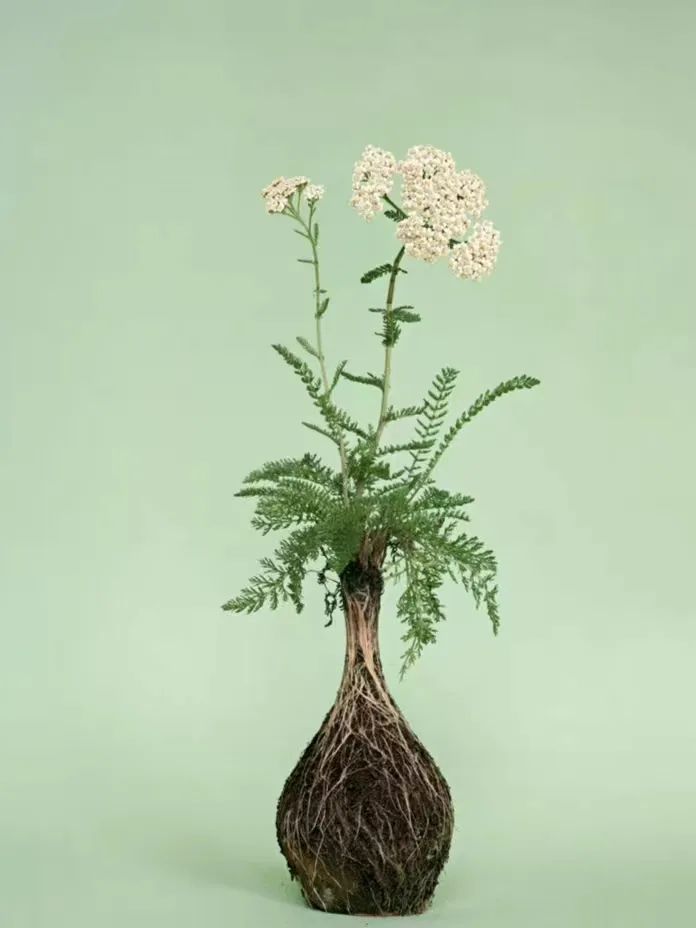 微信圖片_20220426070225.jpg 微信圖片_20220426070225.jpg