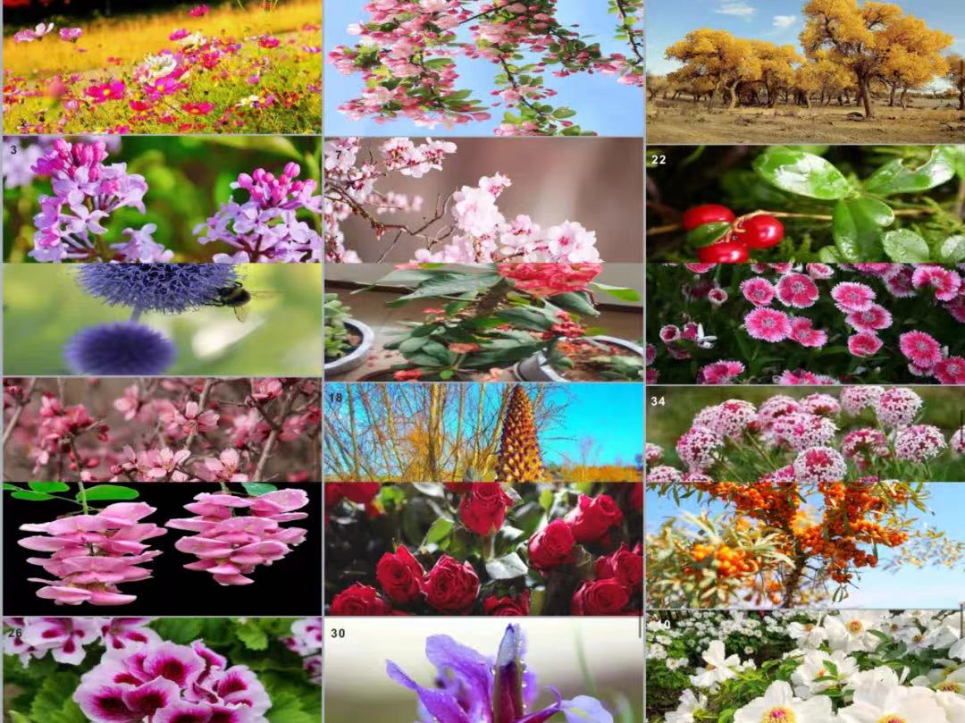 微信圖片_20220501203808.jpg 微信圖片_20220501203808.jpg