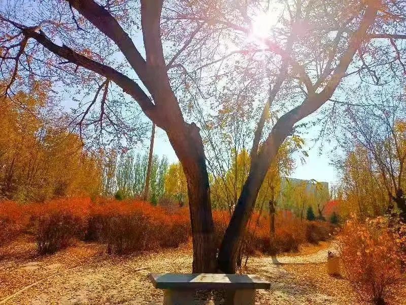 f3e87f3831549d6ef1a74b791ae7628a.jpg f3e87f3831549d6ef1a74b791ae7628a.jpg