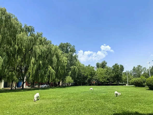 12 拷貝.jpg 12 拷貝.jpg