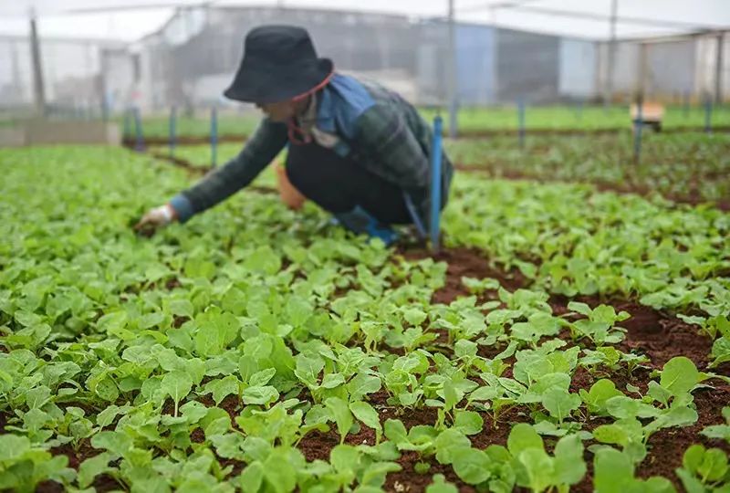 微信圖片_20241029160201.jpg 微信圖片_20241029160201.jpg