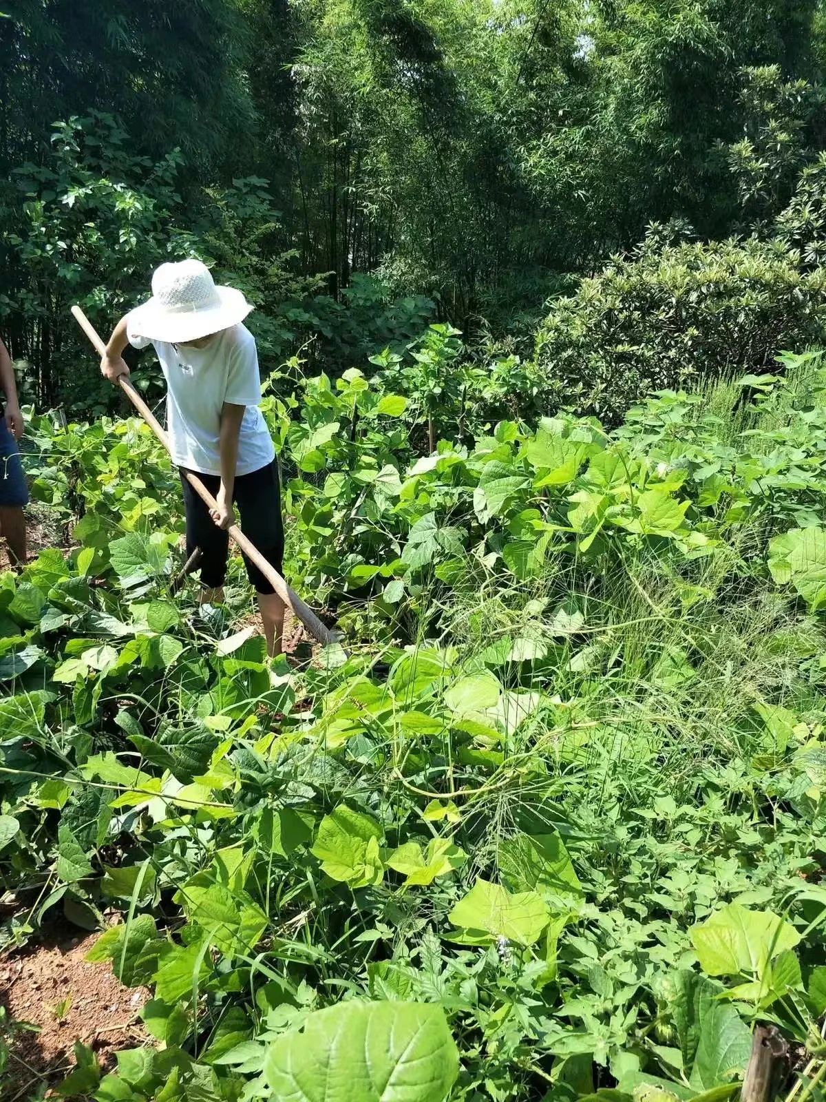 微信圖片_20241029160209.jpg 微信圖片_20241029160209.jpg