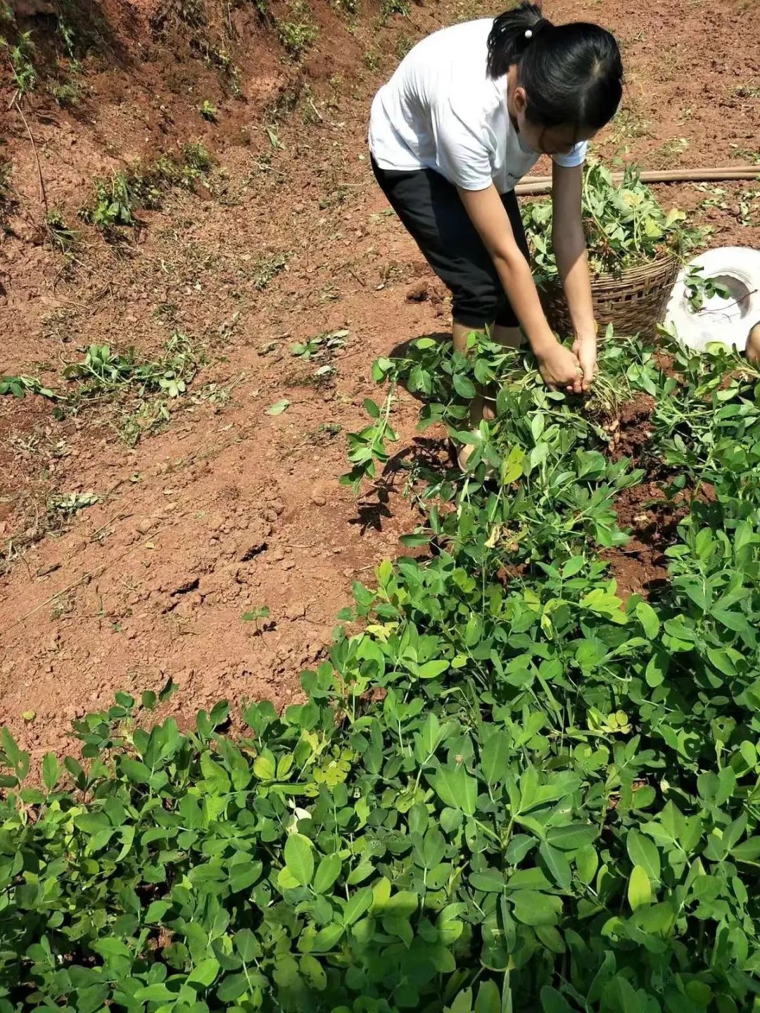 微信圖片_20241029160214.jpg 微信圖片_20241029160214.jpg