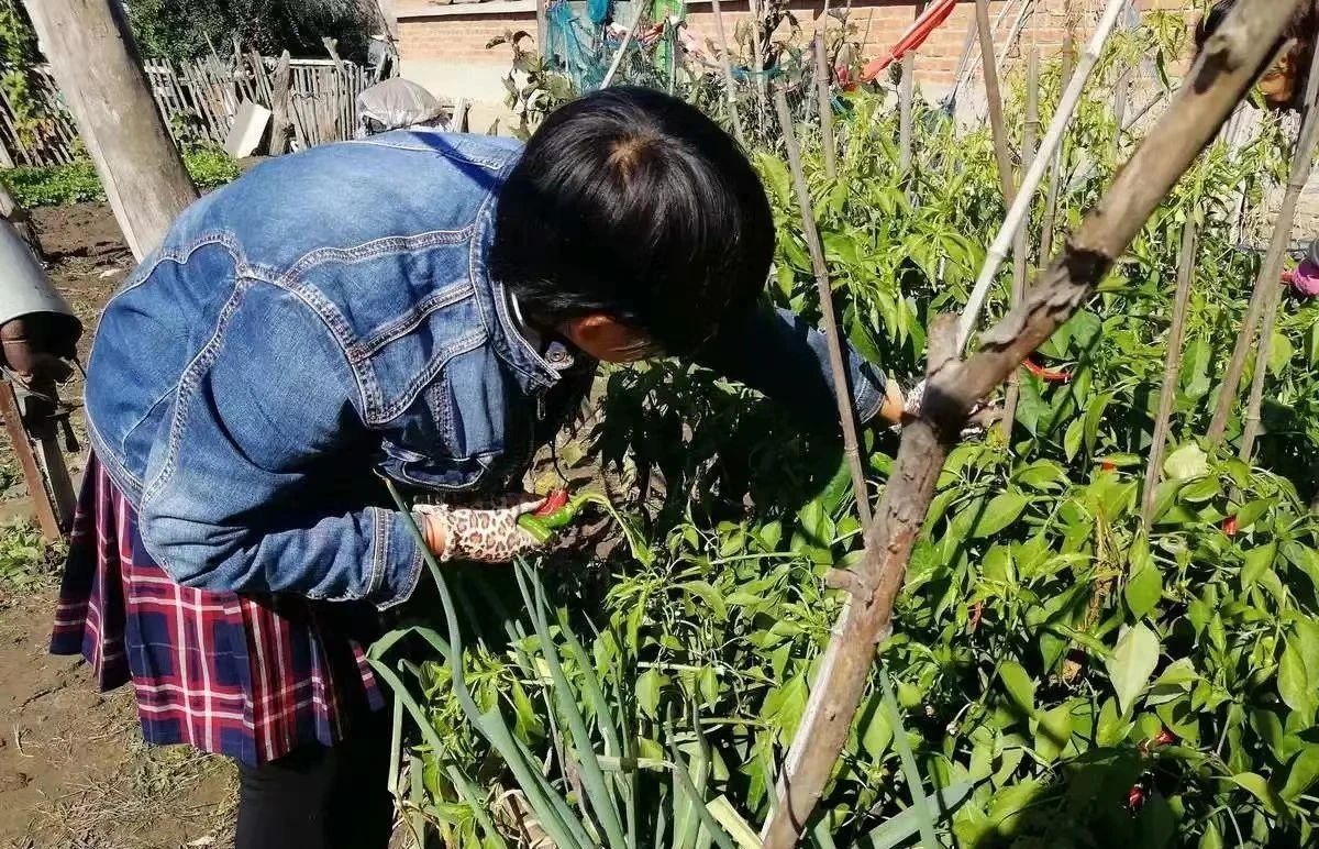 微信圖片_20241029160222.jpg 微信圖片_20241029160222.jpg