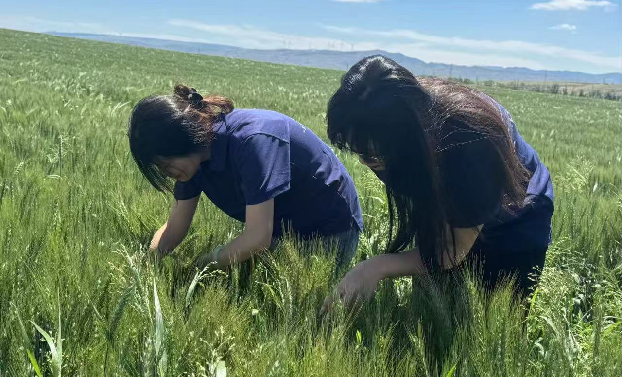 cb3b50824c1a66b9eaecf2ea5f57eee3.jpg cb3b50824c1a66b9eaecf2ea5f57eee3.jpg